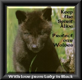 Lady in Black-Another Wolf Lover