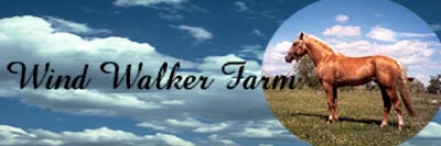 Wind Walker Farm
