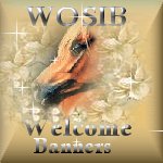 WOSIB Welcome Banners